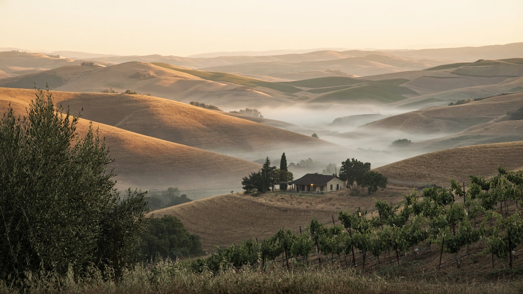 Golden morning light over Central California hills and a distant farmhouse